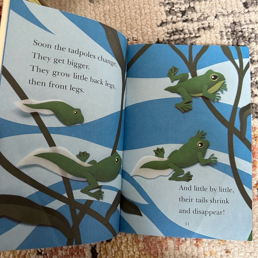 Children's Book Set - Colorful Story Collection - Picture 10 of 13